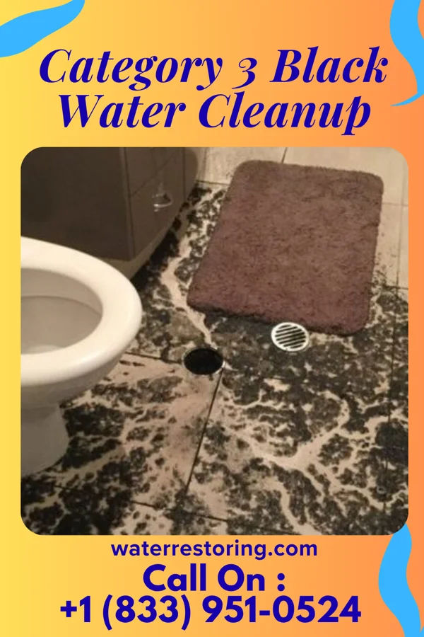 Category 3 Black Water Cleanup in Lattimer, PA
