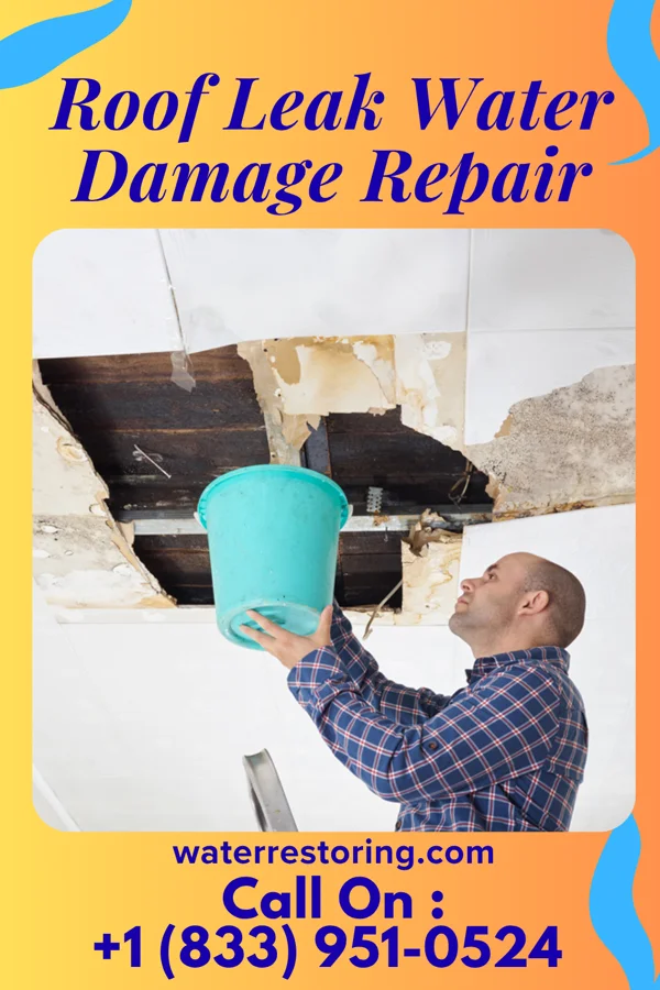 Roof Leak Water Damage Repair in Lattimer, PA
