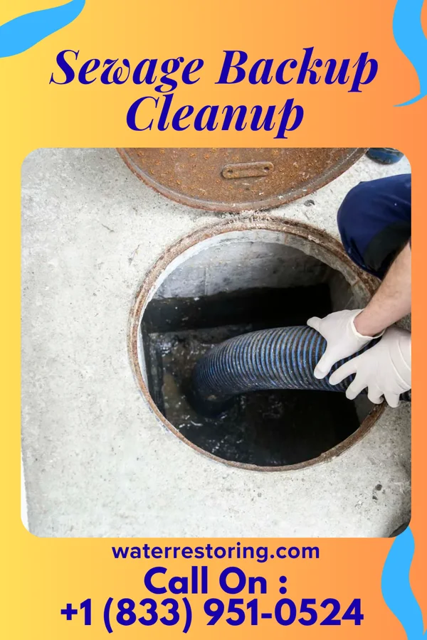 Sewage Backup Cleanup in Lattimer, PA